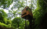 Khám phá kiến trúc độc đáo của những ngôi nhà trên cây 