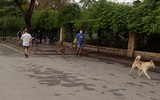 Hà Nội: Nhiều người 