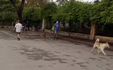 Hà Nội: Nhiều người 