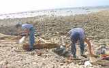 Bảo vệ đảo, giữ sạch biển ở Trường Sa
