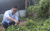 Bình yên nhịp sống Trường Sa ngày 30 Tết Nguyên Đán