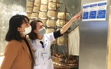 Rà soát kỹ, phòng ngừa hiệu quả dịch Covid-19 cho du khách quốc tế ở phố cổ