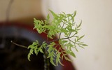 Những người thầy thuốc đặc biệt ở Trường Sa