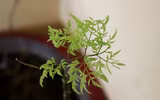 Những người thầy thuốc đặc biệt ở Trường Sa