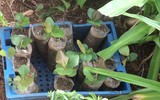 Những người thầy thuốc đặc biệt ở Trường Sa