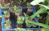 Những người thầy thuốc đặc biệt ở Trường Sa