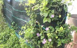 Những người thầy thuốc đặc biệt ở Trường Sa