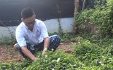 Những người thầy thuốc đặc biệt ở Trường Sa