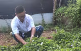 Những người thầy thuốc đặc biệt ở Trường Sa