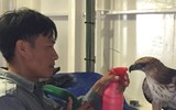 Luyện chim đại bàng giữa Trường Sa