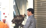 Luyện chim đại bàng giữa Trường Sa