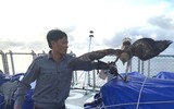 Luyện chim đại bàng giữa Trường Sa