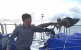 Luyện chim đại bàng giữa Trường Sa