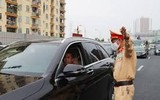 Dừng tất cả các loại hình phương tiện để kiểm tra, phát hiện và xử lý nghiêm vi phạm