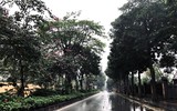Đường phố Hà Nội ngày thứ 2 thực hiện cách ly toàn xã hội