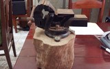 Cận cảnh 