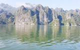 Phóng viên 