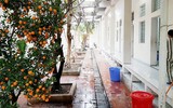 Lặng lẽ hình ảnh bác sỹ Cảnh sát sau cánh cổng trại giam