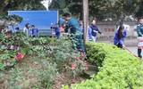 Hình ảnh đẹp trong ngày hội thanh niên tình nguyện vì cộng đồng