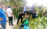 Toàn cảnh thực nghiệm hiện trường vụ nam sinh chạy 