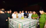 Toàn cảnh vụ phá đường dây ma túy khủng xuyên quốc gia, ngụy trang trong xe container