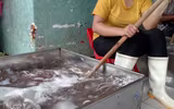 Hà Nội: Đột kích cơ sở nghi tẩy trắng bạch tuộc bằng hóa chất