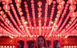 Chùm ảnh người dân các nước đón Tết Nguyên đán 2018