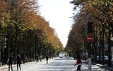 [Ảnh] Những hình ảnh ấn tượng trong Ngày không xe hơi ở Paris, Brussels