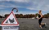 [Ảnh] Những hình ảnh ấn tượng trong Ngày không xe hơi ở Paris, Brussels