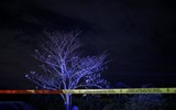 [Ảnh] Những hình ảnh hãi hùng ở Honduras, nơi tỷ lệ giết người cao nhất thế giới
