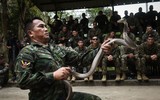[Ảnh] Hãi hùng nhìn lính Mỹ ăn bọ cạp, uống máu rắn trong tập trận Hổ mang Vàng