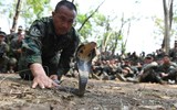 [Ảnh] Hãi hùng nhìn lính Mỹ ăn bọ cạp, uống máu rắn trong tập trận Hổ mang Vàng