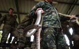 [Ảnh] Hãi hùng nhìn lính Mỹ ăn bọ cạp, uống máu rắn trong tập trận Hổ mang Vàng