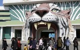 [Ảnh] Khám phá cuộc sống thú vị của người dân Bình Nhưỡng