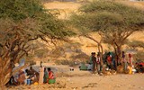 [Ảnh] Hành trình nguy hiểm của người di cư Ethiopia qua vùng chiến sự đến 