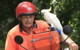 [ẢNH] Gian nan hoạt động đưa thư trên thế giới, không phải ai cũng biết