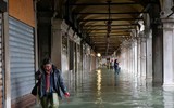 [ẢNH] Khách du lịch bì bõm lội nước… khi tới Venice, Italy