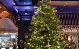 [ẢNH] Choáng ngợp trước những cây thông Noel đắt giá nhất thế giới