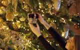 [ẢNH] Choáng ngợp trước những cây thông Noel đắt giá nhất thế giới