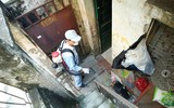Hà Nội tổng lực dập dịch sốt xuất huyết