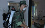 Hà Nội tổng lực dập dịch sốt xuất huyết