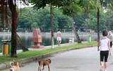 Quy định đã có, chó vẫn... thả rông