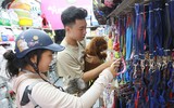 Quy định đã có, chó vẫn... thả rông