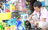 Quy định đã có, chó vẫn... thả rông