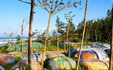 Ghé thăm làng bích họa rực rỡ nhất miền Trung