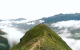 Cưỡi 