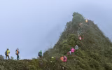 Cưỡi 