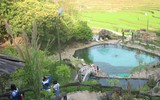 Cưỡi 