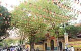 Không khí nhộn nhịp chào đón Đại lễ Phật đản