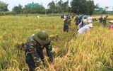 [ẢNH] Giữ vững màu xanh nơi biên cương phía Bắc